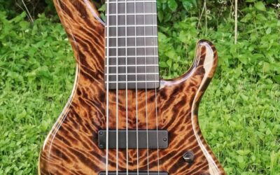 HMC6 in Redwood (361)
